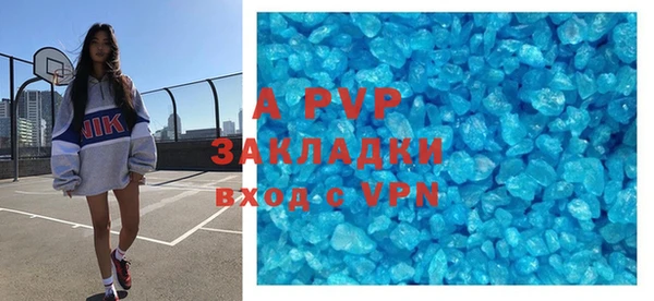 a pvp Бородино