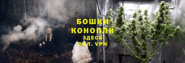 a pvp Бородино