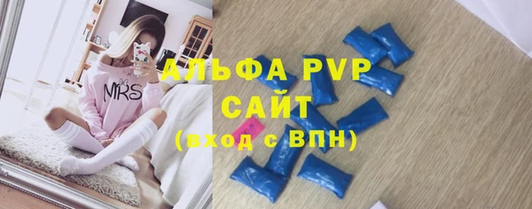 a pvp Бородино