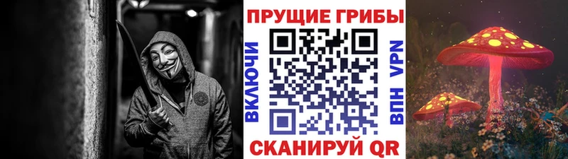 Галлюциногенные грибы Psilocybe  Дзержинск 